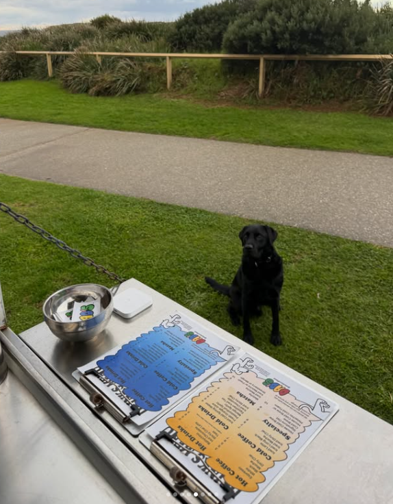 Dad's menus on the trailer counter with a black dog nearby