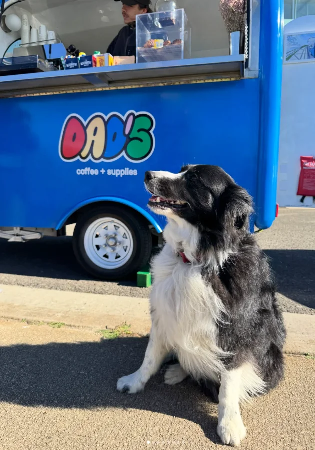 A black and white dog sitting in front of the blue Dad's coffee trailer